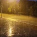 Heavy rains predicted in six TN districts Friday, Chennai may get respite