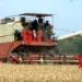 Punjab sanctions nearly 22 thousand residue management machines