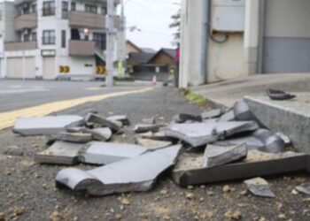 Japan to assign disaster preparedness officers to each prefecture