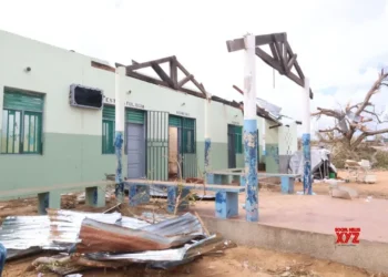 Death toll from Cyclone Chido in Mozambique rises to 94