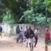 Mozambique creates commission to investigate mass prison break