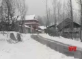 Heavy snowfall in J&K higher reaches, moderate snow, rain in plains