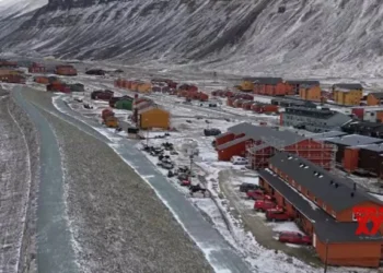 Norway tightens eco-protection in Svalbard to safeguard Arctic ecosystem
