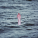 Maha Shivratri tragedy: 5 youths drown in Ganga river in Bihar, three bodies recovered