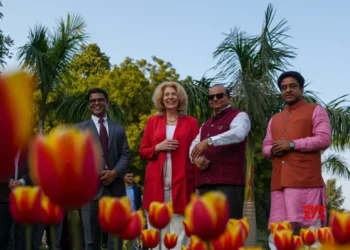 Delhi L-G inaugurates NDMC Tulip Festival-2025