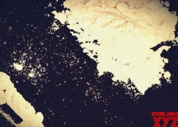 Drug racket busted in Gujarat; mephedrone valued at Rs 6.62 lakh seized