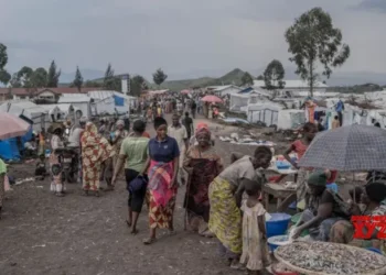 Over 67 million people food insecure in Horn of Africa as climate shocks, conflict rise: Report