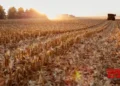 Haryana seeks GST exemption on crop residue management equipment