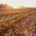 Haryana seeks GST exemption on crop residue management equipment