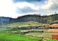 TN govt announces hill farmers development scheme in state Agriculture Budget 2025-26
