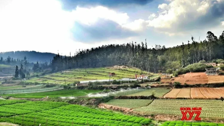 TN govt announces hill farmers development scheme in state Agriculture Budget 2025-26