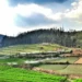TN govt announces hill farmers development scheme in state Agriculture Budget 2025-26