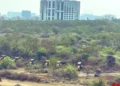 Centre seeks report from Telangana on land clearing near Hyderabad University