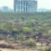 Centre seeks report from Telangana on land clearing near Hyderabad University