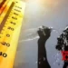 Chhattisgarh amends summer vacation order for schools as heatwave intensifies