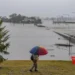 Death toll from northeast Australian tropical disease outbreak rises to 26