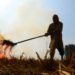 MP‘s war on stubble burning: State tops in country, more actions needed