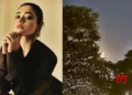 Rashmika Mandanna resumes the night shoot for ‘Thama’