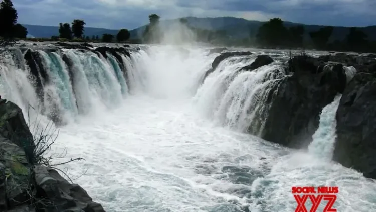 TN: Hogenakkal water flow rises by 1000 cusecs after heavy rainfalls
