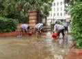 Delhi squall: NDMC command centre handles 61 complaints of fallen trees, waterlogging