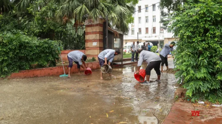 Delhi squall: NDMC command centre handles 61 complaints of fallen trees, waterlogging