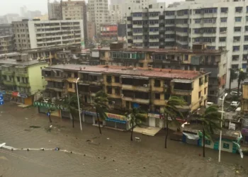 China: Typhoon Wipha makes second landfall in Guangdong