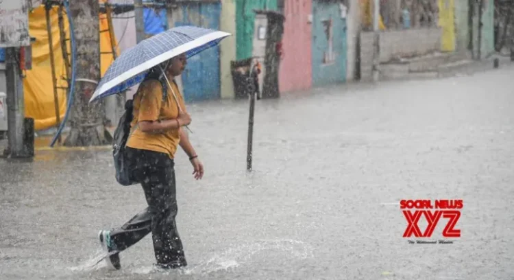 Heavy rains: Holiday declared for schools & colleges in 7 K’taka districts today