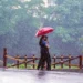 Kerala braces for intense monsoon, orange alert issued for two districts