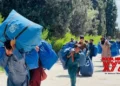 UNHCR says over 2.3 million Afghans returned from Iran and Pakistan this year