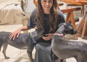 Wamiqa Gabbi raises voice for the freedom of stray dogs this Independence Day