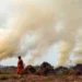 Consider arrests, strict action to curb stubble burning: SC to govt