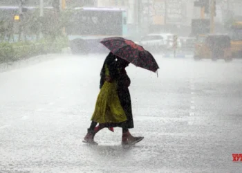 Heavy rain alert in several parts of MP as Monsoon trough re-activates