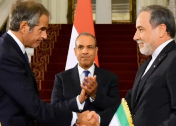 Iranian FM, IAEA chief discuss bilateral interactions in New York