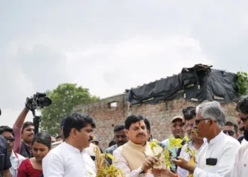 MP CM reviews crop damage and orders state-wide survey; Cong to protest in Ujjain tomorrow