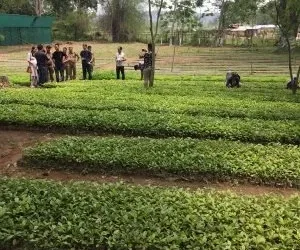 Nagaland has potential for coffee plantation in over 10 lakh hectares: CM Rio