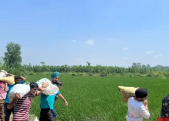 Villages in Ludhiana impacted with breach in Dhussi bundh in Sutlej