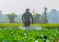 Centre cracks down on black marketing, hoarding of fertilisers during peak agri season
