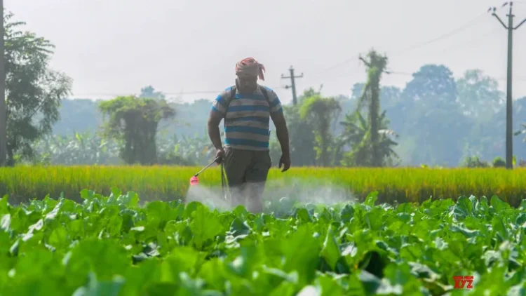 Centre cracks down on black marketing, hoarding of fertilisers during peak agri season