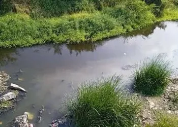 Key treatment plant in TN’s Tirupppur nears completion to stop sewage flow into Nallaru RiverKey treatment plant in TN’s Tirupppur nears completion to stop sewage flow into Nallaru River