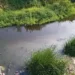 Key treatment plant in TN’s Tirupppur nears completion to stop sewage flow into Nallaru RiverKey treatment plant in TN’s Tirupppur nears completion to stop sewage flow into Nallaru River
