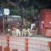 Three 9mm cartridges recovered from Delhi blast site; no weapon found