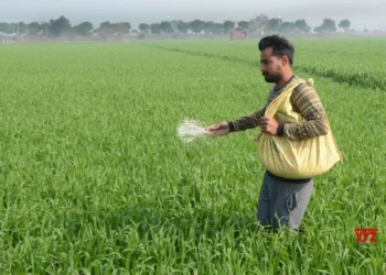 Area sown under rabi crop crosses 580 lakh hectares