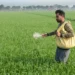Area sown under rabi crop crosses 580 lakh hectares