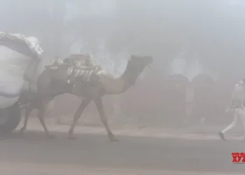 Dense fog blankets parts of Rajasthan; visibility drops in many areas