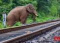 NFR’s tech-driven measures save over 160 elephants, ensure safer train operations