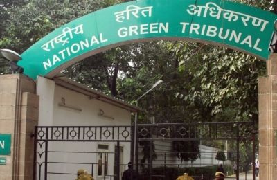 NGT orders immediate halt to road construction in Manipur’s hill areas