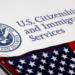 Visa delays leave H-1B families stranded abroad amid tougher US vetting