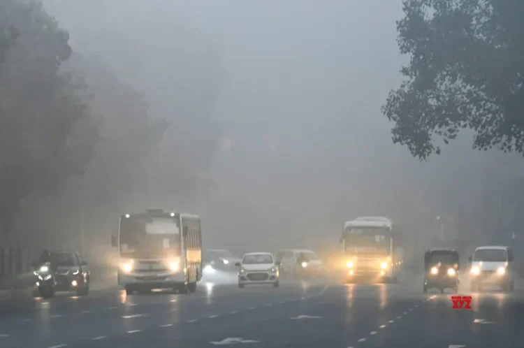 Cold wave, dense fog grip Delhi-NCR; air quality slips to ‘severe’ category