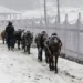 Gulmarg freezes at minus 8.8, cold wave intensifies in J&K