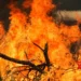 Life-threatening bushfire in Australia prompts evacuation order